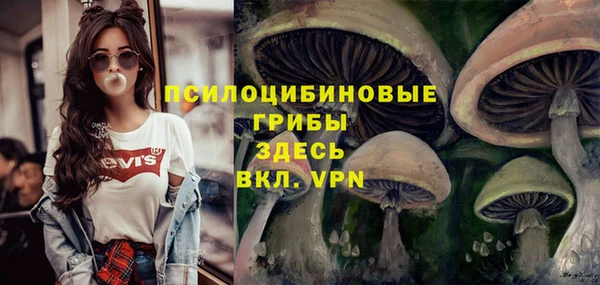 амф Бугульма