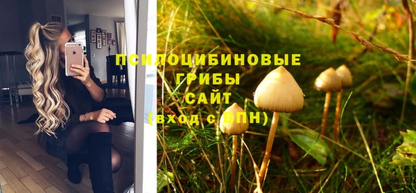 амф Бугульма