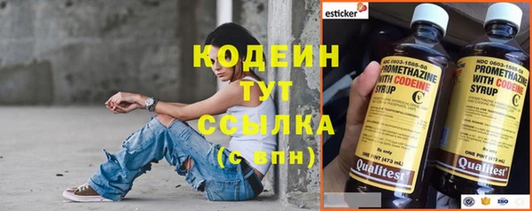 spice Снежинск
